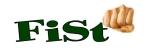 Logo FiSt Netherlands