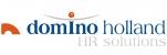 Logo Domino Holland